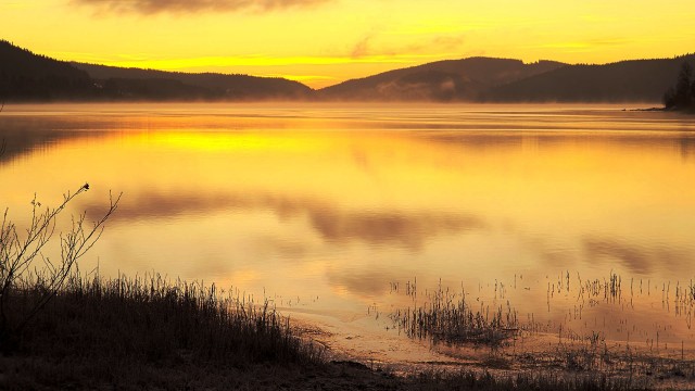 沼泽下的夕阳