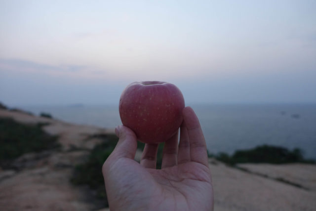 带去庙湾岛的苹果